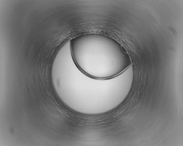 X0000114080704200911161016