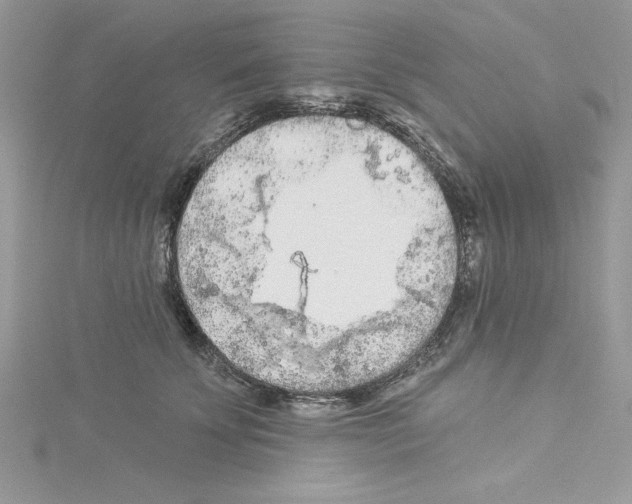 X0000114080707200911161016