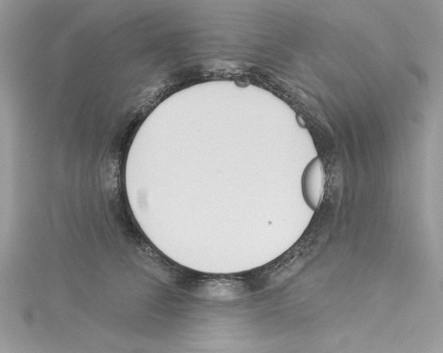 X0000114080708200911161016