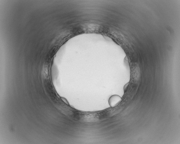 X0000114080709200911161016