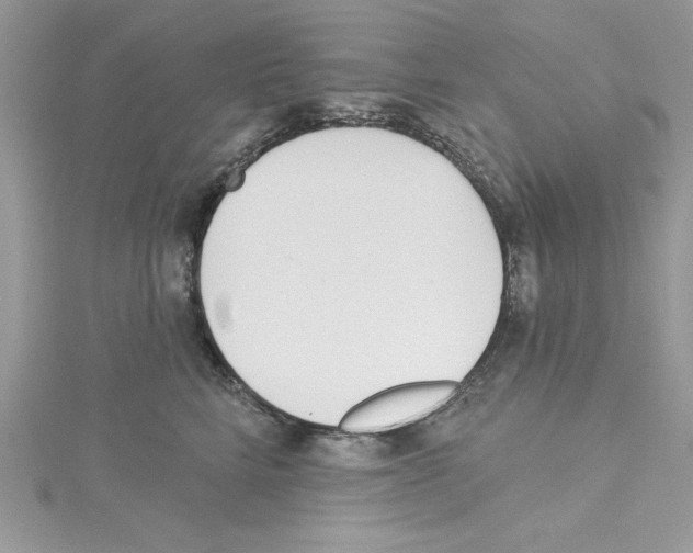 X0000114080712200911161016