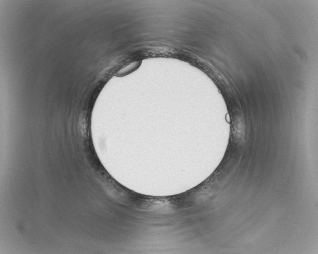 X0000114080715200911161016