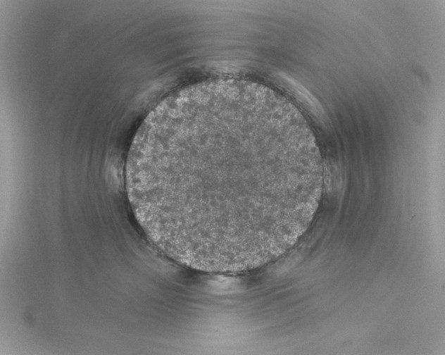 X0000114080718200911161016