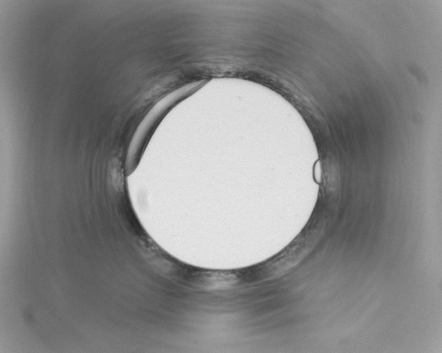 X0000114080719200911161016