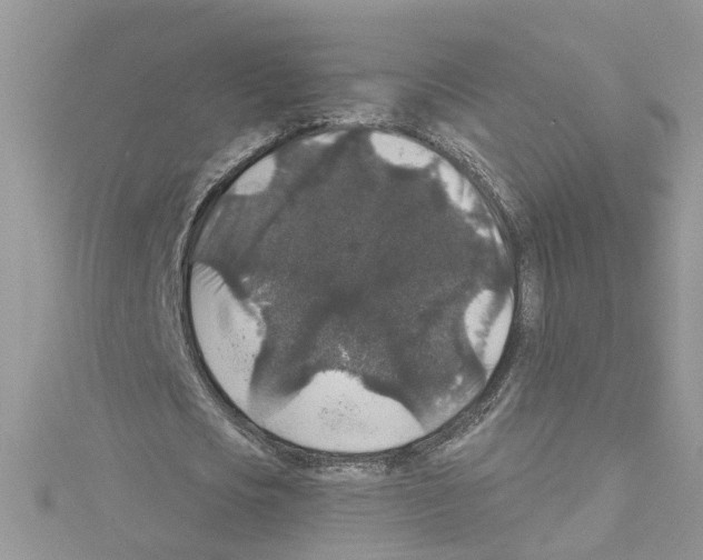 X0000114080721200911161015