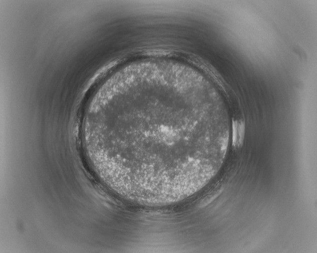 X0000114080723200911161015