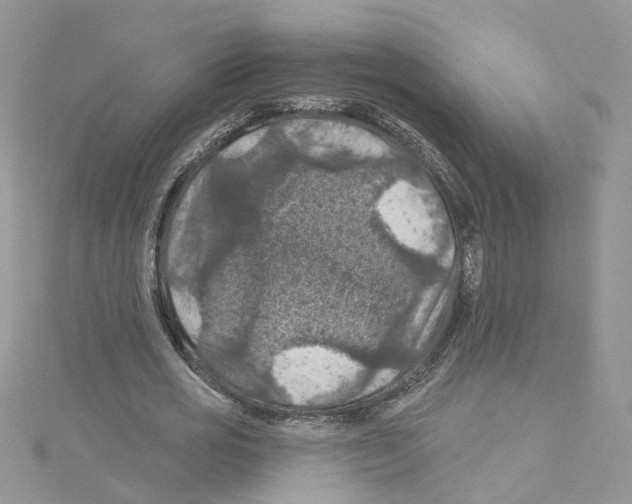 X0000114080725200911161015