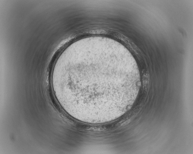 X0000114080727200911161015