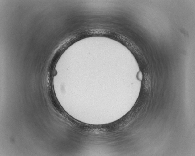 X0000114080731200911161015