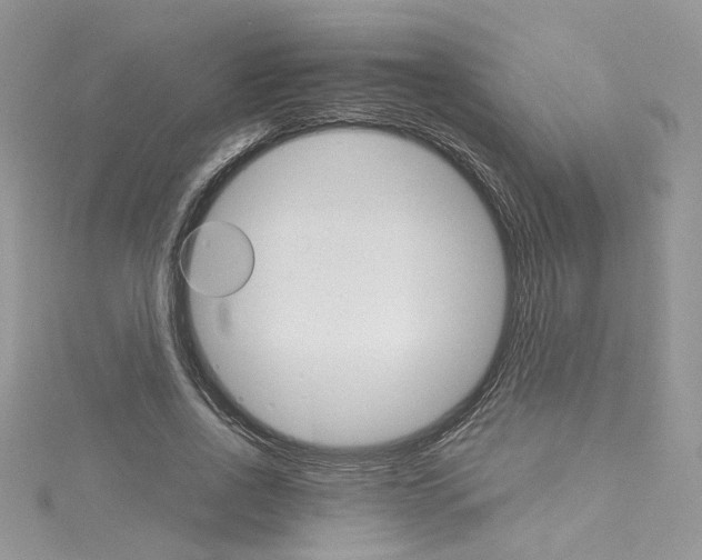 X0000114080734200911161015