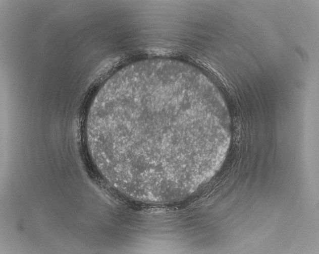 X0000114080738200911161015