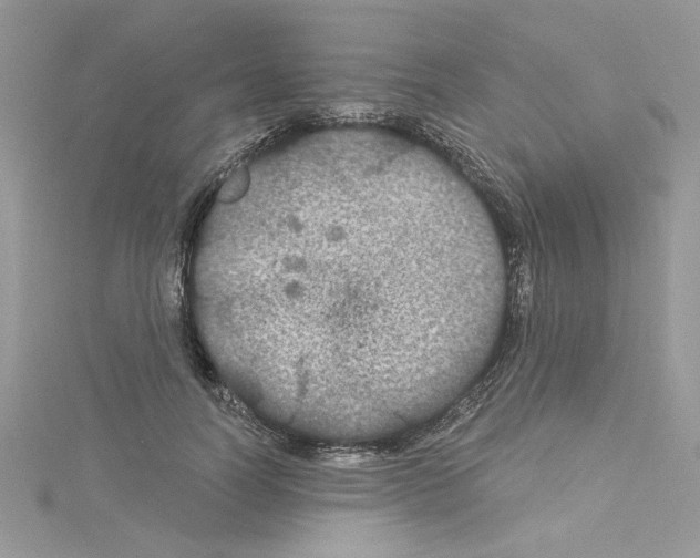 X0000114080746200911161015