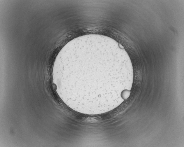 X0000114080751200911161015