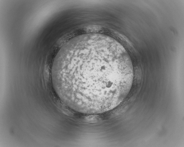 X0000114080761200911161015