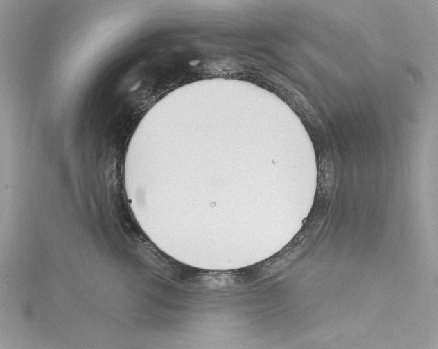 X0000114080762200911161015