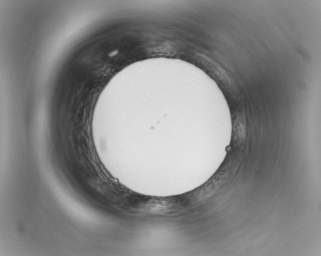 X0000114080764200911161016