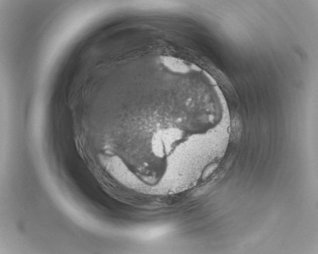 X0000114080765200911161016