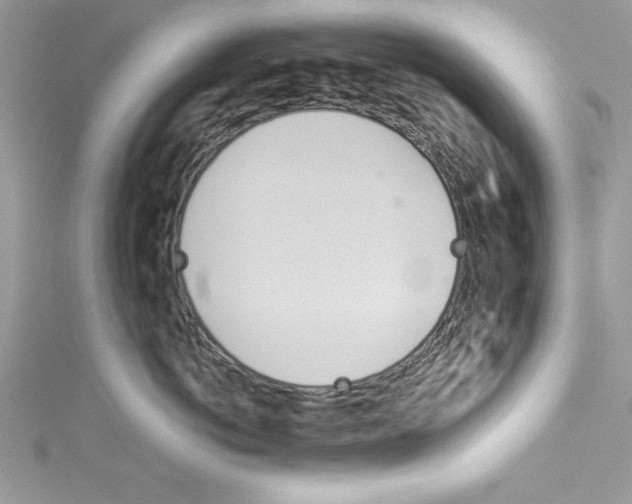 X0000114080766200911161016