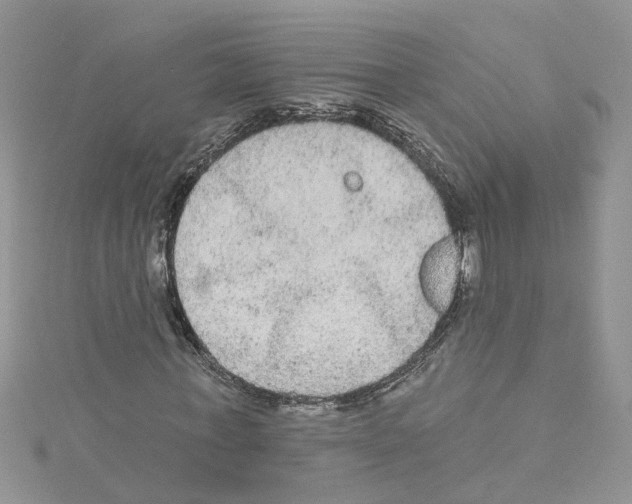 X0000114080771200911161015