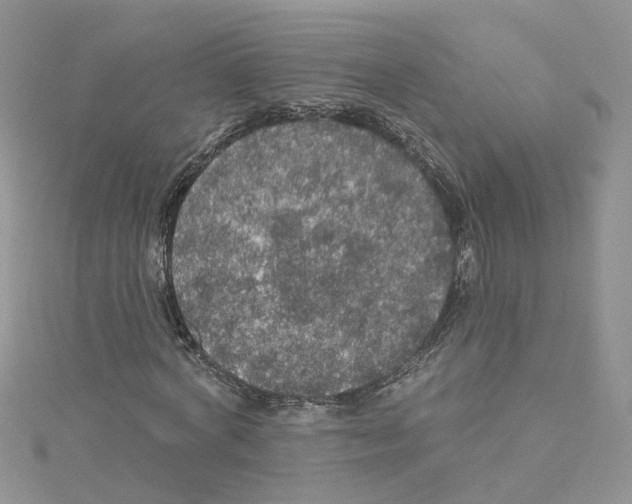 X0000114080772200911161015