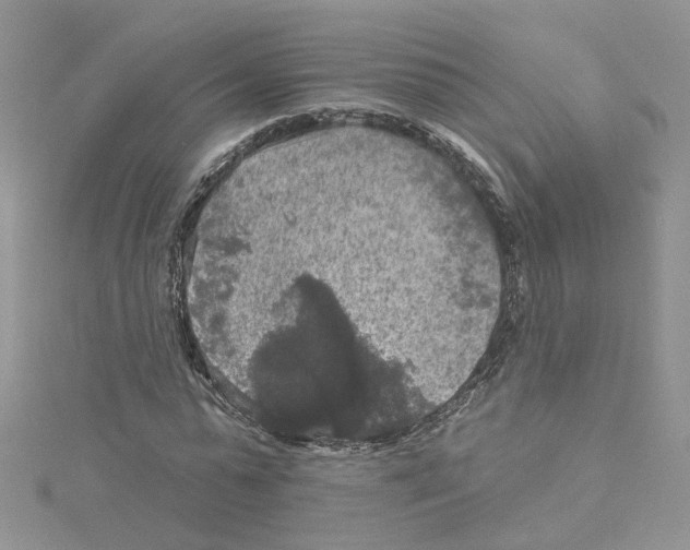 X0000114080775200911161015