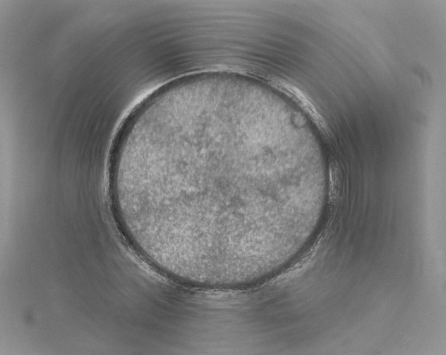 X0000114080780200911161015