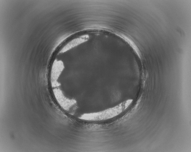 X0000114080783200911161015