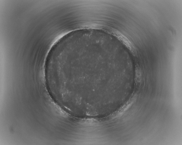 X0000114080784200911161015