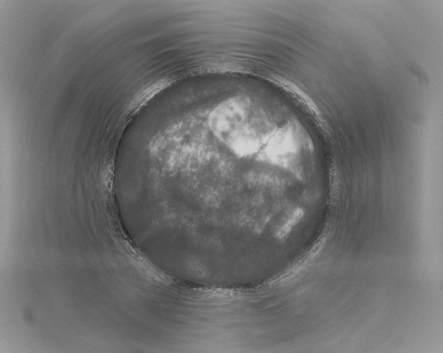 X0000114080785200911161015