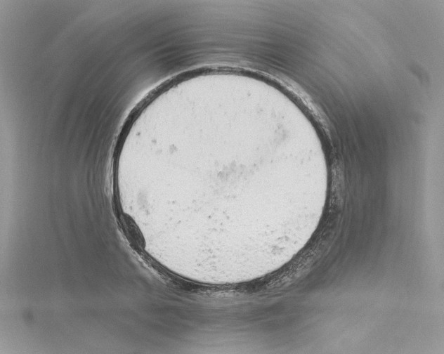 X0000114080791200911161015