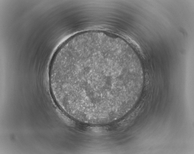 X0000114080792200911161015