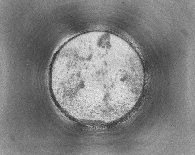 X0000114080795200911161015