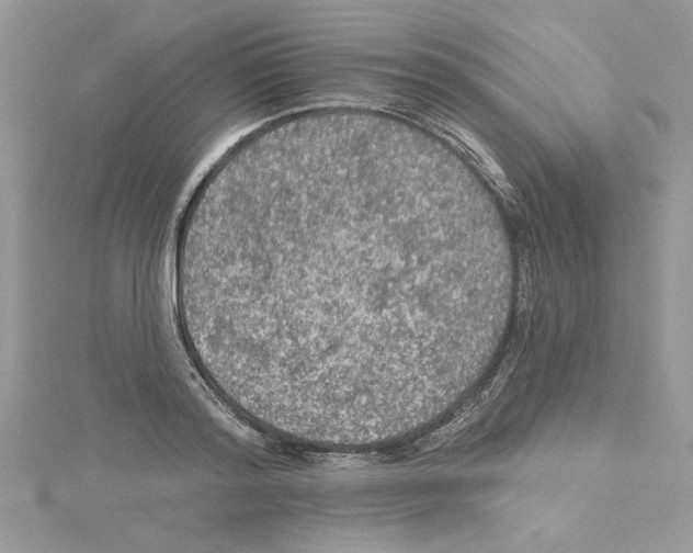 X0000114080796200911161015