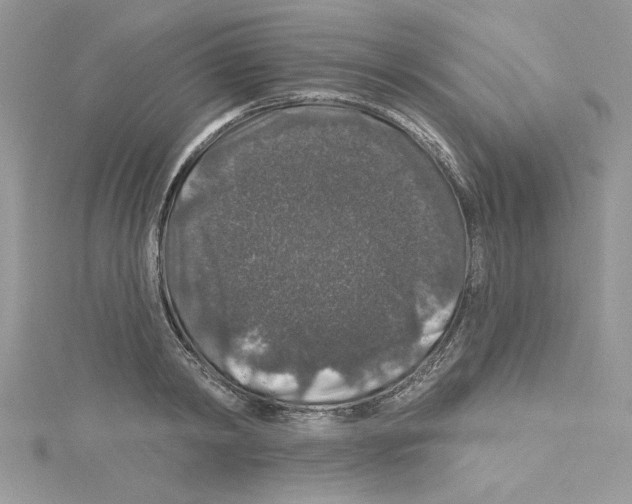 X0000114080798200911161015