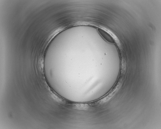 X0000114080809200911161014