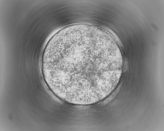 X0000114080812200911161014