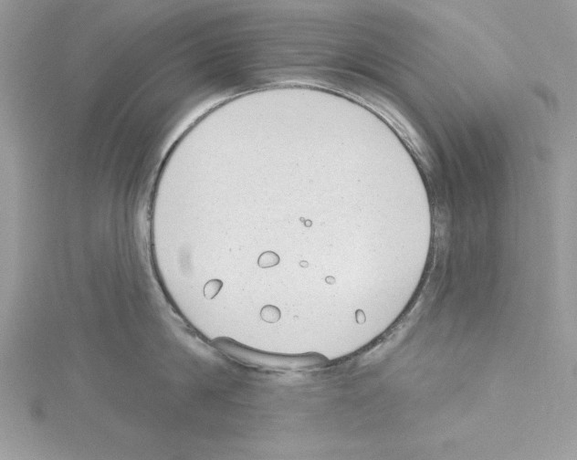 X0000114080814200911161014