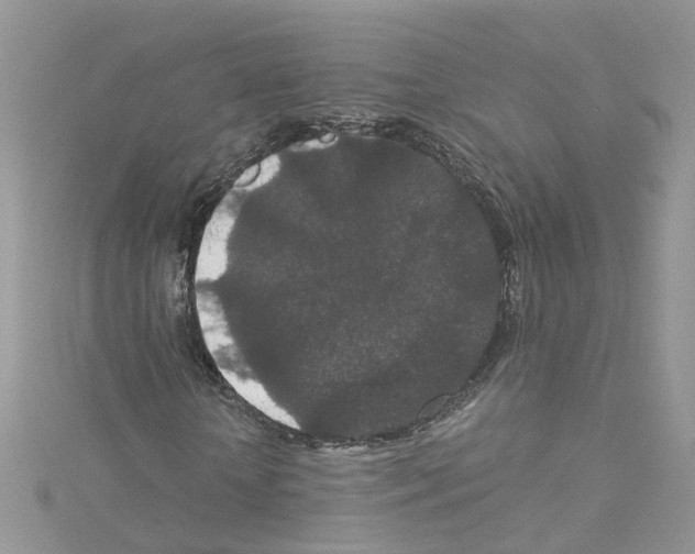 X0000114080818200911161014