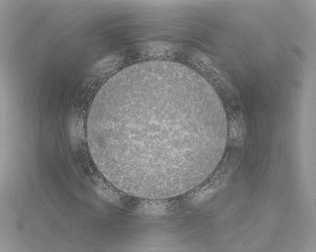 X0000114080820200911161014