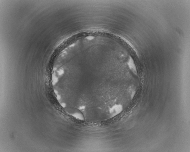 X0000114080823200911161014