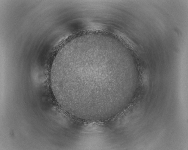 X0000114080824200911161014