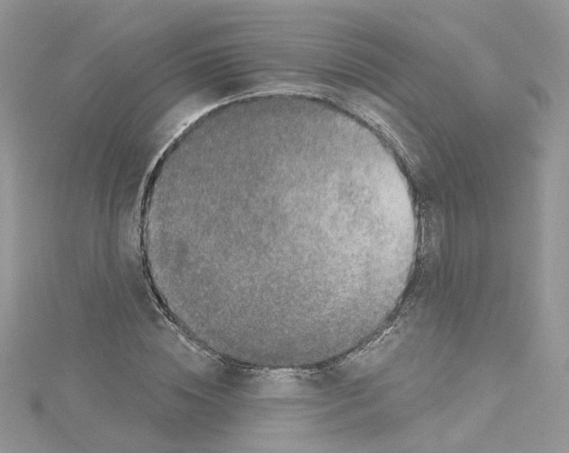 X0000114080828200911161014