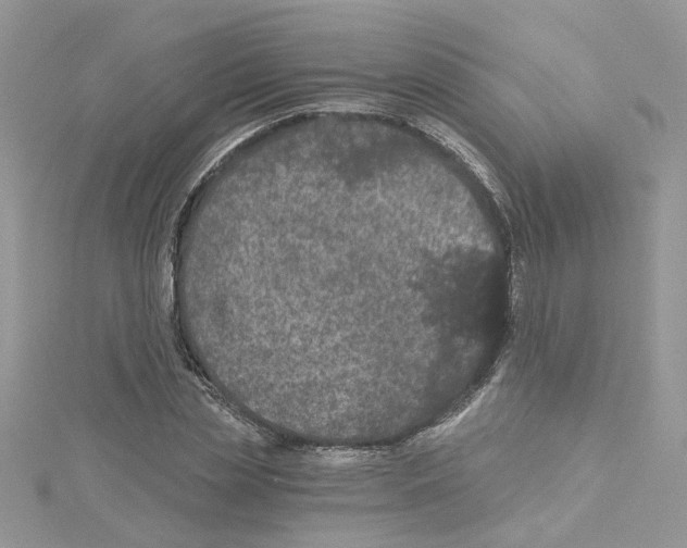 X0000114080829200911161014