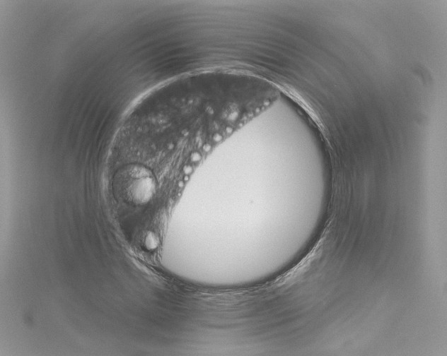 X0000114080830200911161014