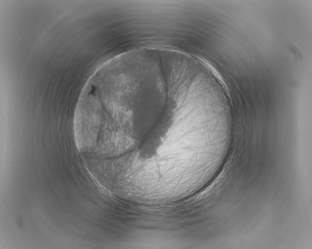 X0000114080831200911161014