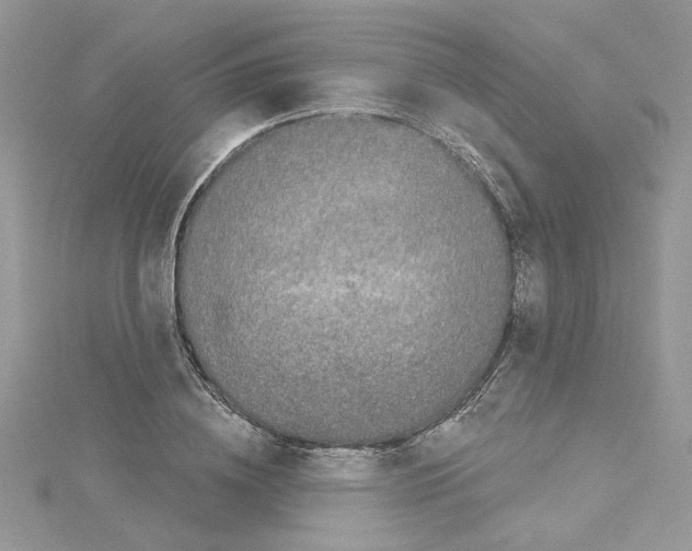 X0000114080836200911161014