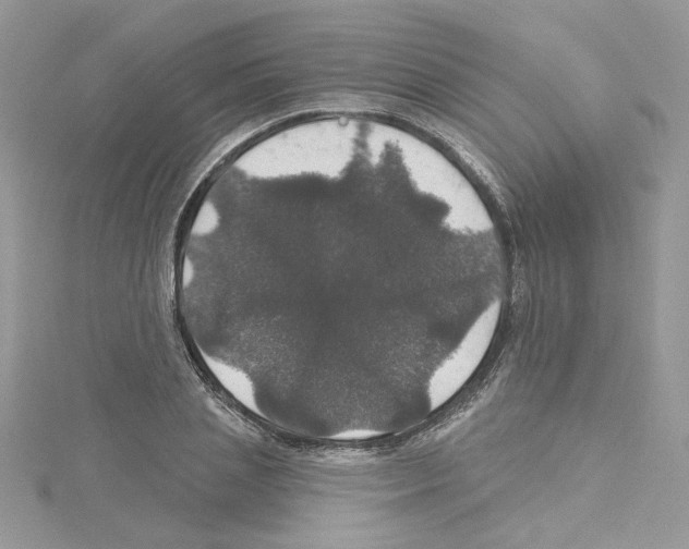 X0000114080837200911161014