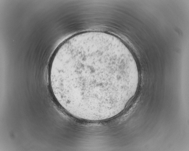 X0000114080838200911161014