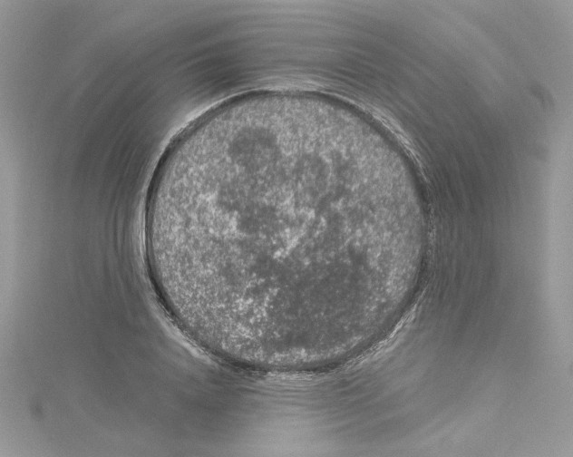 X0000114080840200911161014