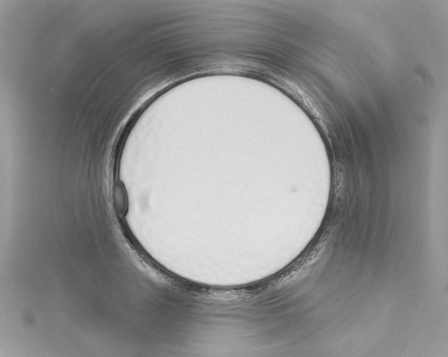 X0000114080843200911161014